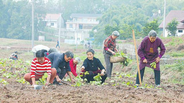 鄉鎮空缺生意鄉下有什么可以代加工的插圖2 鄉鎮空缺生意鄉下有什么可以代加工的插圖2