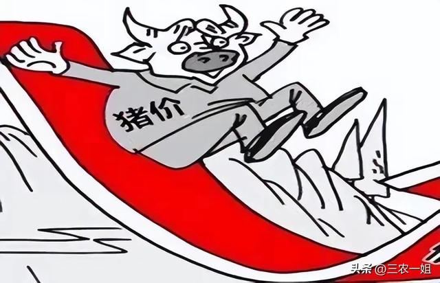 2022年養什么掙錢最快的2022年養啥最掙錢東北插圖5