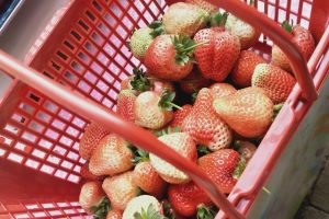 十大巔峰都市系統流小說排行榜(2)