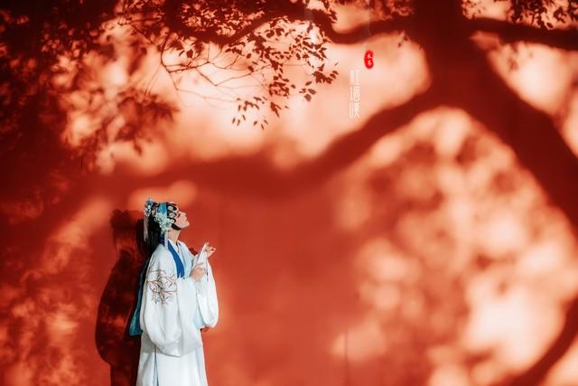 用古文暗示我等你白茶清歡無別事,我在等風(fēng)也等你插圖1