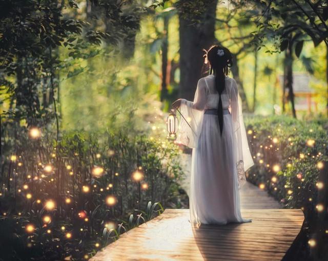 用古文暗示我等你白茶清歡無別事,我在等風(fēng)也等你插圖3