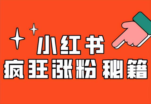 小紅書買500個粉絲小紅書買500個粉絲插圖2