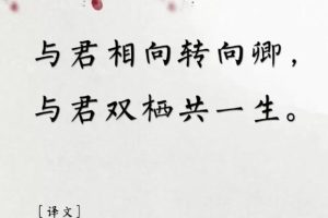 用古文暗示我等你白茶清歡無別事,我在等風(fēng)也等你全詩