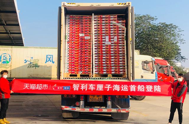 車厘子2j3j4j是什么意思車厘子2j4j是什么意思插圖