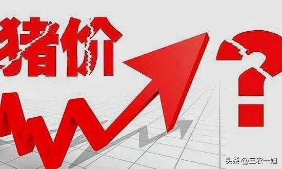 2022年養什么掙錢最快的2022年養啥最掙錢東北插圖7