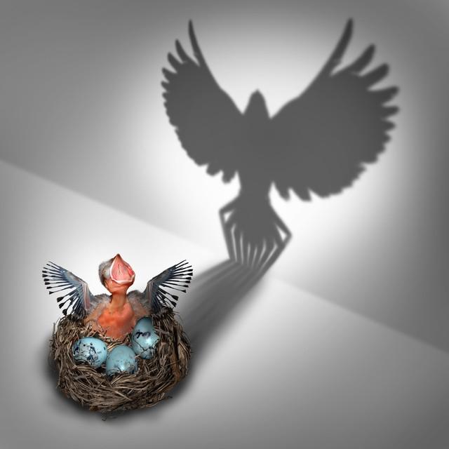 螞蟻星愿是個坑螞蟻星愿是個坑嗎插圖1