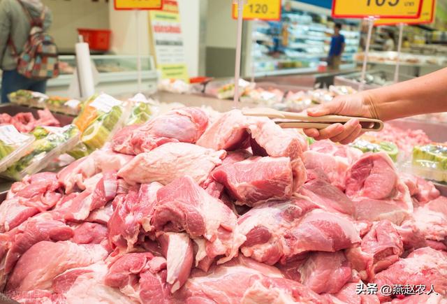 2022年養什么掙錢最快的2022養殖業什么最賺錢農村插圖2