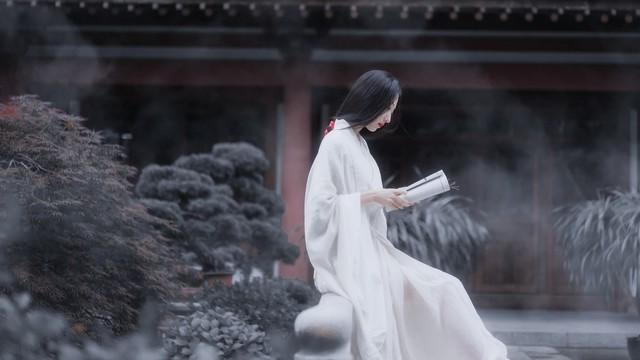 用古文暗示我等你白茶清歡無別事,我在等風(fēng)也等你插圖