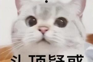 京東定金交了不想買了怎么辦京東定金不能退怎么辦