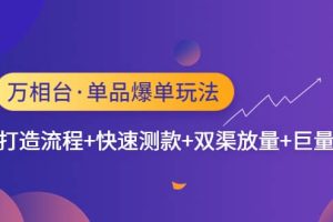 萬相臺·單品爆單玩法，單爆打造流程 快速測款 雙渠放量 巨量引爆