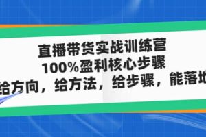 直播帶貨實戰(zhàn)訓練營：100%盈利核心步驟，給方向，給方法，給步驟，能落地