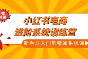 小紅書電商進階系統訓練營：新手從入門到精通系統課（21節視頻課）