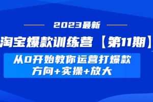 淘寶爆款訓(xùn)練營【第11期】 從0開始教你運(yùn)營打爆款，方向 實(shí)操 放大