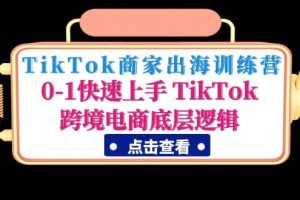 TikTok商家出海訓(xùn)練營(yíng)：0-1快速上手 TikTok跨境電商底層邏輯(無(wú)水印)