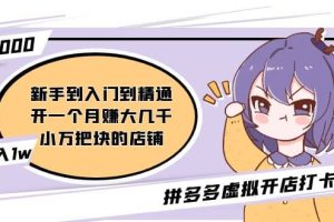 拼多多虛擬開店打卡群：入門到精通（昨日群里有小伙伴3000 ）2月26更新