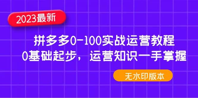 2023拼多多0-100實戰運營教程，0基礎起步，運營知識一手掌握（無水?。┎鍒D