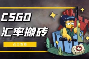 外面9800的CSGO匯率搬磚項(xiàng)目【選品軟件 詳細(xì)教程】