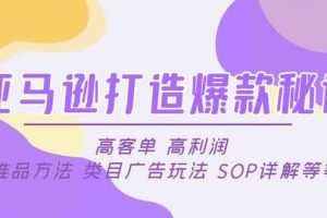 亞馬遜打造爆款秘訣：高客單 高利潤 推品方法 類目廣告玩法 SOP詳解等等