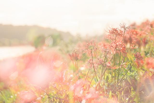 超a禁欲系網名女超a禁欲系網名女插圖