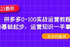 2023拼多多0-100實戰(zhàn)運營教程，0基礎起步，運營知識一手掌握（無水印）