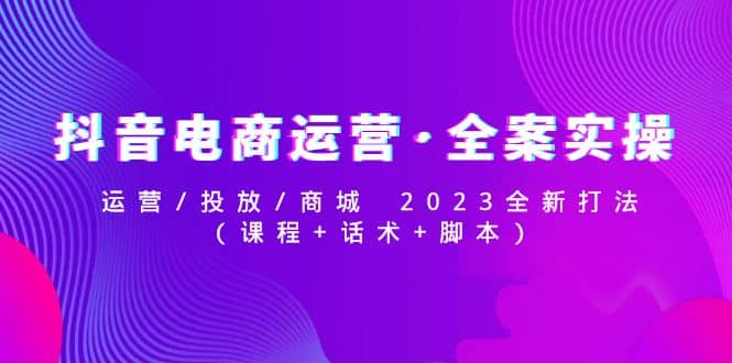 抖音電商運營·全案實操：運營/投放/商城 2023全新打法插圖