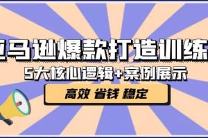 亞馬遜爆款打造訓練營：5大核心邏輯 案例展示 打造爆款鏈接 高效 省錢 穩定