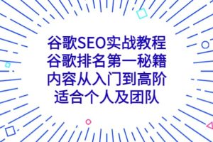 谷歌SEO實戰教程：谷歌排名第一秘籍，內容從入門到高階，適合個人及團隊