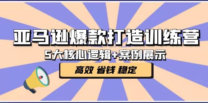 亞馬遜爆款打造訓(xùn)練營：5大核心邏輯 案例展示 打造爆款鏈接 高效 省錢 穩(wěn)定插圖