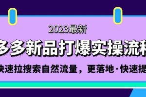 拼多多-新品打爆實操流程：輕松快速拉搜索自然流量，更落地·快速提升