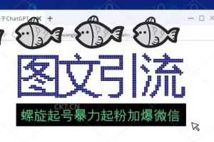 23年價值1980的圖文引流創業粉螺旋起好技術暴力起粉加爆微信