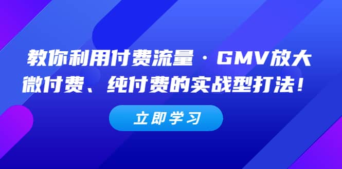 教你利用付費流量·GMV放大，微付費、純付費的實戰型打法插圖