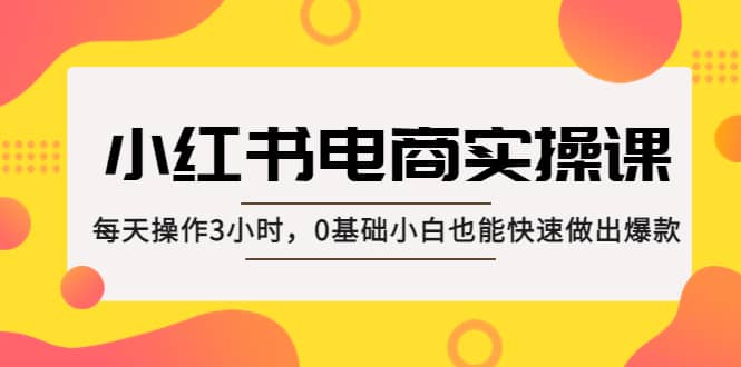 小紅書·電商實操課：每天操作3小時，0基礎小白也能快速做出爆款插圖