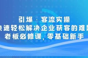 引爆·客流實操：快速輕松解決企業獲客的難題，老板必修課，零基礎新手
