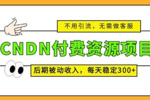 CNDN付費資源項目，不用引流，無需做客服，后期被動收入