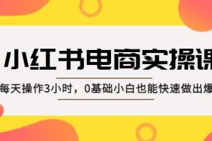 小紅書·電商實操課：每天操作3小時，0基礎小白也能快速做出爆款