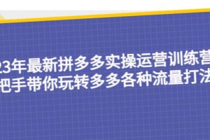 23年最新拼多多實操運營訓練營：手把手帶你玩轉多多各種流量打法！