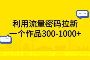 利用流量密碼拉新，一個作品300-1000