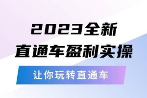 2023全新直通車·盈利實操：從底層，策略到搭建，讓你玩轉直通車