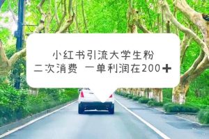 小紅書引流大學生粉，變現項目，一單利潤在200 （教程 資源）