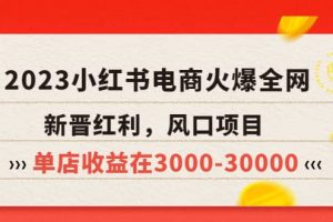 2023小紅書電商火爆全網，新晉紅利，風口項目，單店收益在3000-30000