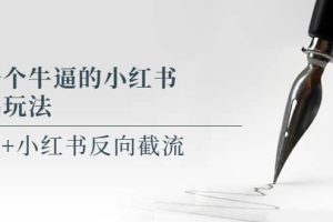 寫一個牛逼的小紅書單品玩法，淘寶 小紅書反向截流！【某公眾號付費文章】