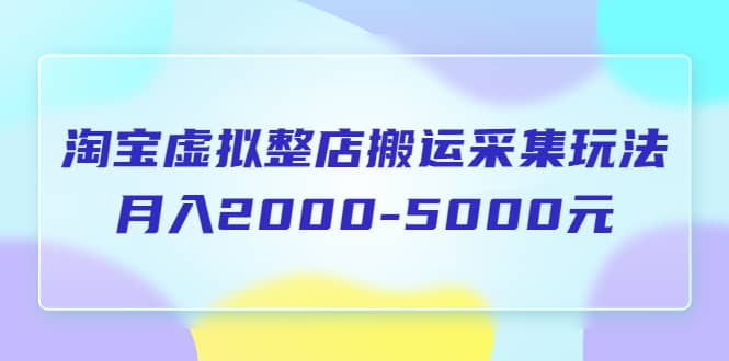 淘寶虛擬整店搬運(yùn)采集玩法分享課：月入2000-5000元（5節(jié)課）插圖