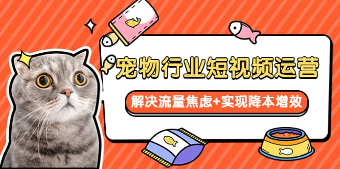 寵物/行業(yè)短視頻運(yùn)營 流量增長的一層窗戶紙 解決流量焦慮 實(shí)現(xiàn)降本增效插圖