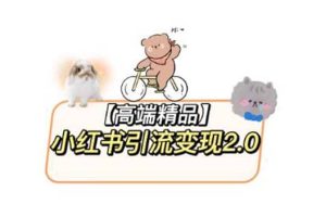 小紅書最新引流變現(xiàn)2.0教程，全網(wǎng)最新最詳細(xì)的視頻教程 素材