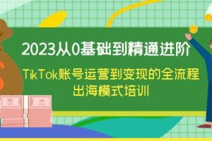 2023從0基礎到精通進階，TikTok賬號運營到變現的全流程出海模式培訓