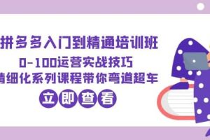 2023拼多多入門到精通培訓班：0-100運營實戰技巧 精細化系列課帶你彎道超車