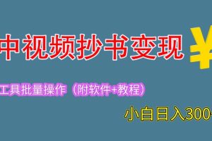 2023中視頻抄書變現（附工具 教程），一天300 ，特別適合新手操作的副業
