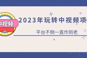 2023一心0基礎(chǔ)玩轉(zhuǎn)中視頻項目：平臺不倒，一直做到老