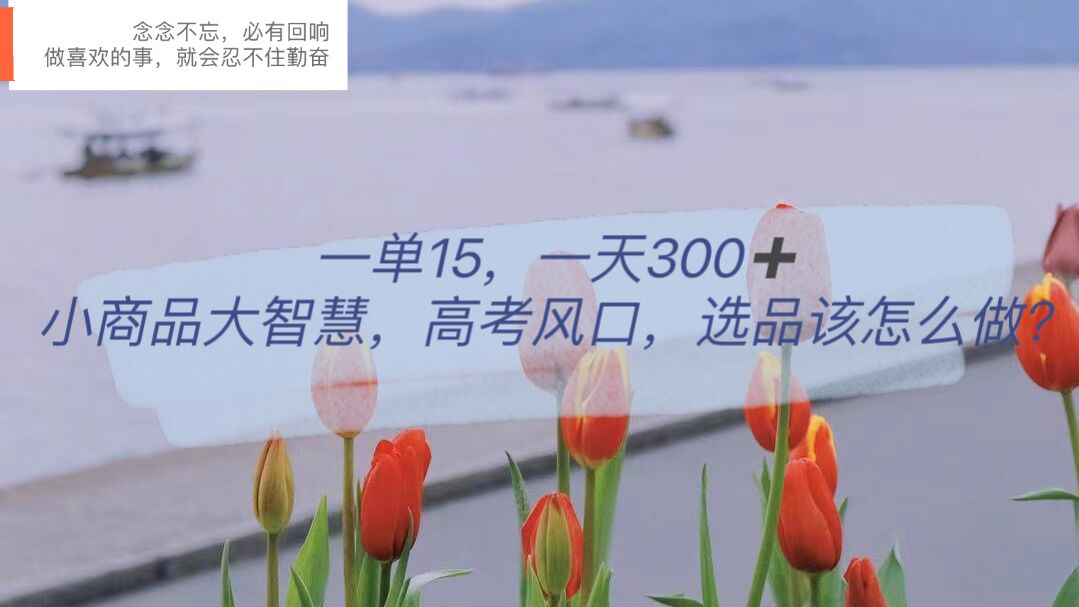 一單15，一天300 ，小商品大智慧，高考風口，選品該怎么布局插圖