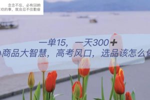 一單15，一天300 ，小商品大智慧，高考風口，選品該怎么布局